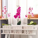Jasny Victus Z Parkingiem By Renters Appartement *