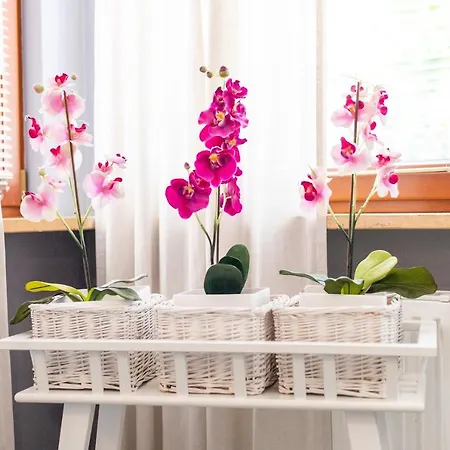 Jasny Victus Z Parkingiem By Renters Διαμέρισμα *